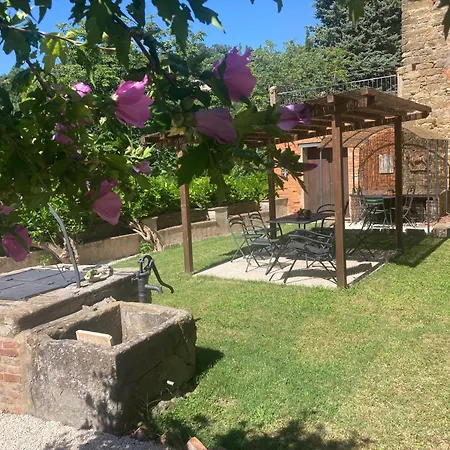 Bonaparte * Panicale